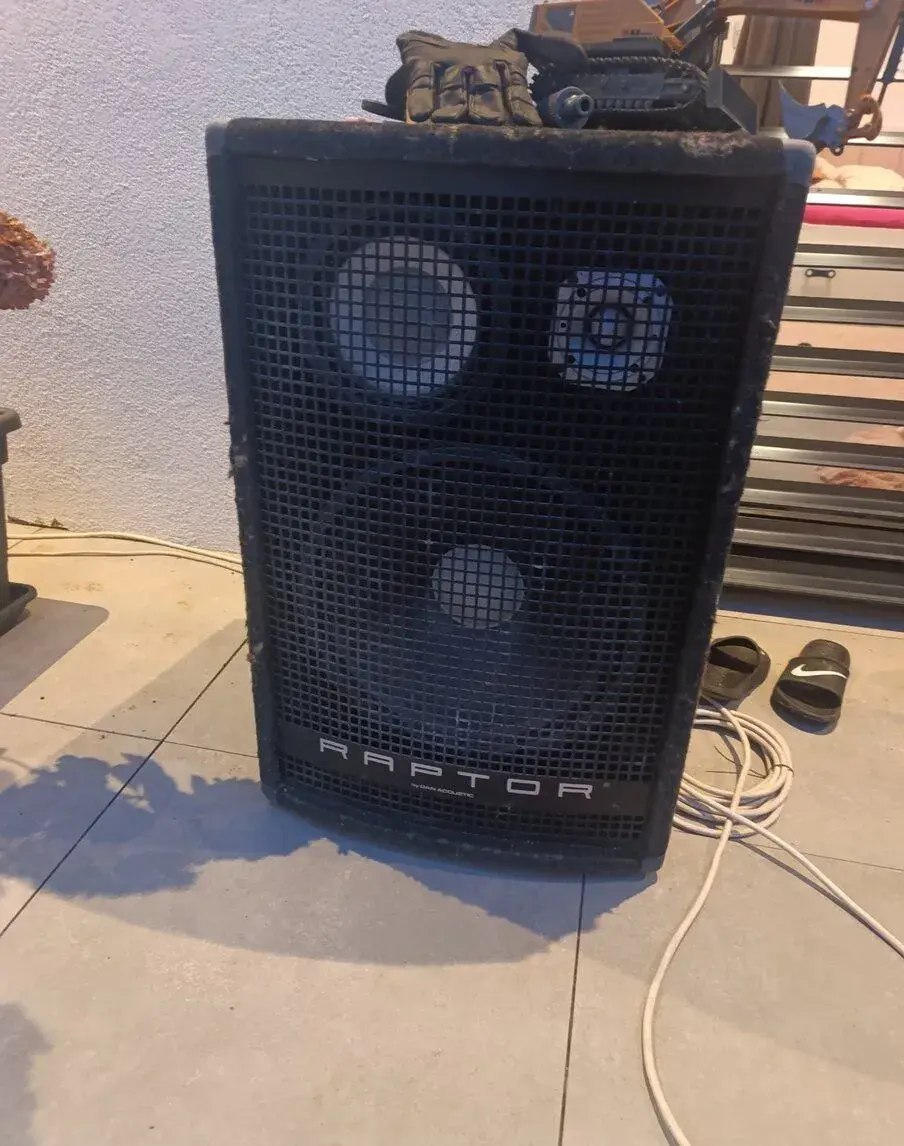 Dan Acoustic Raptor