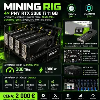 Mining RIG – 4× PNY RTX 2080 Ti 11 GB – 1800 W