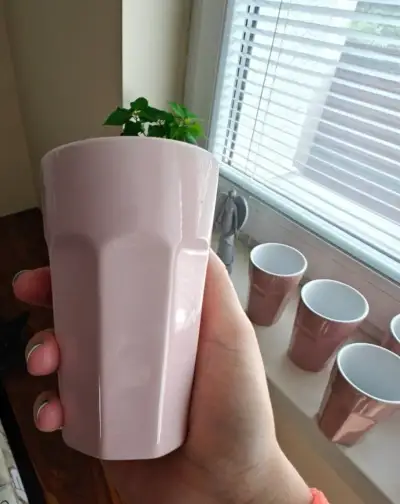 Poháre 6 kusov