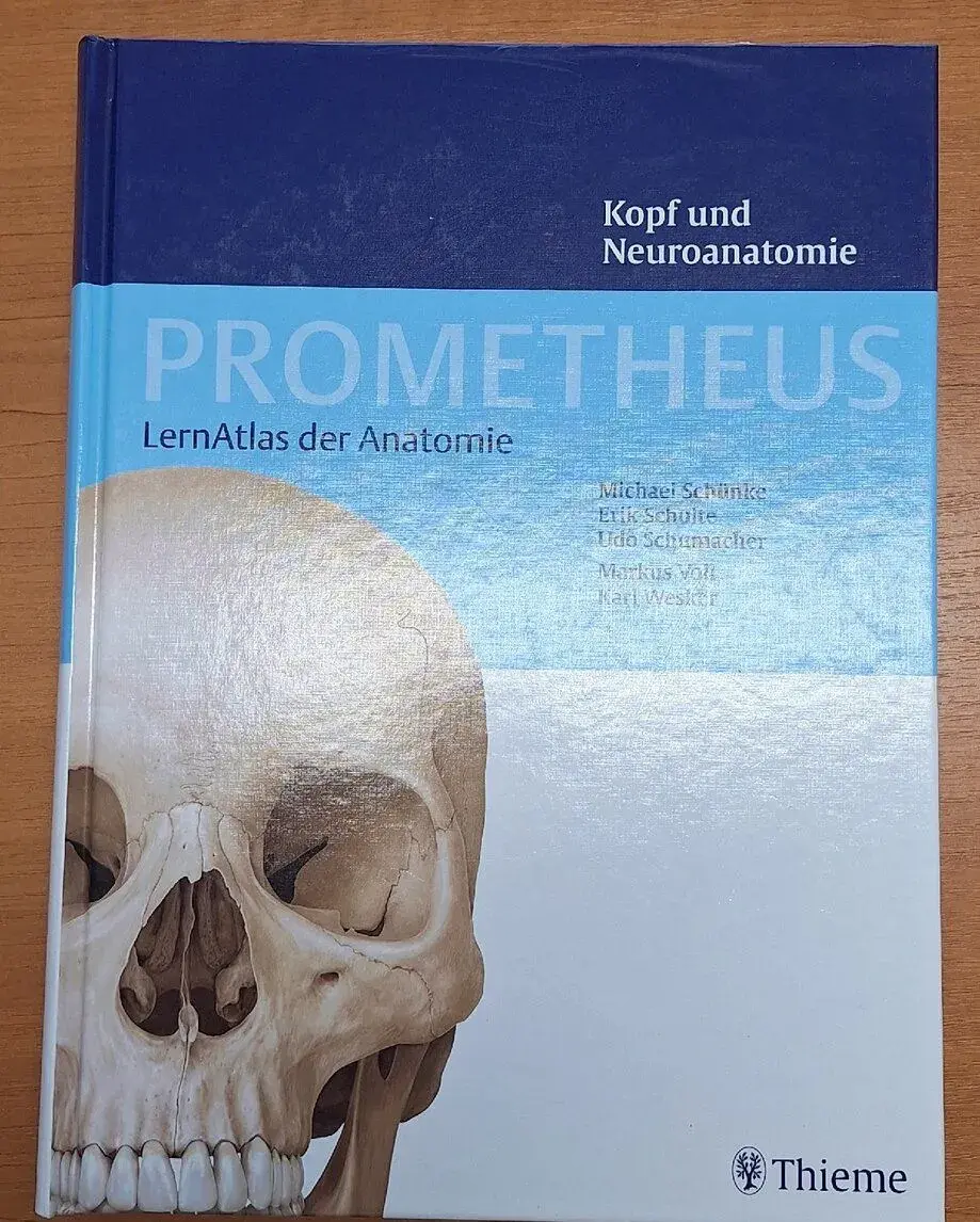 Prometheus Kopf und Neuroanatomie