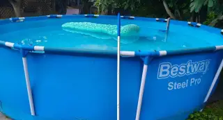 Bazén
