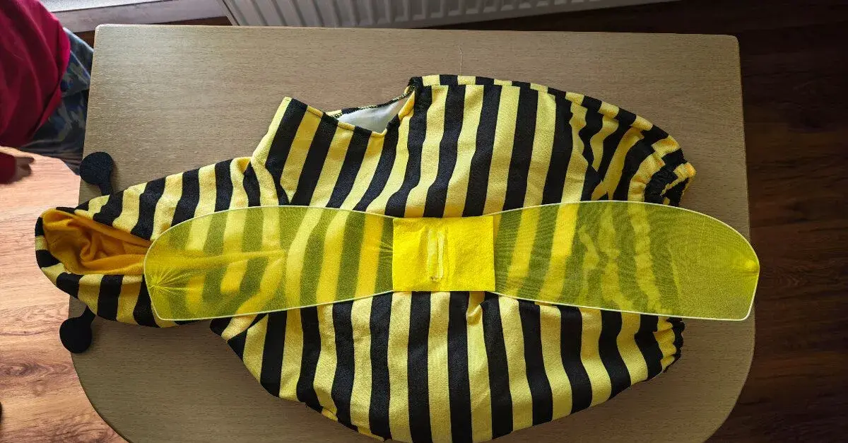 karneval včielka