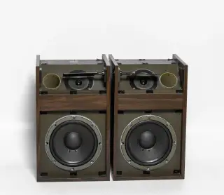 BOSE 301