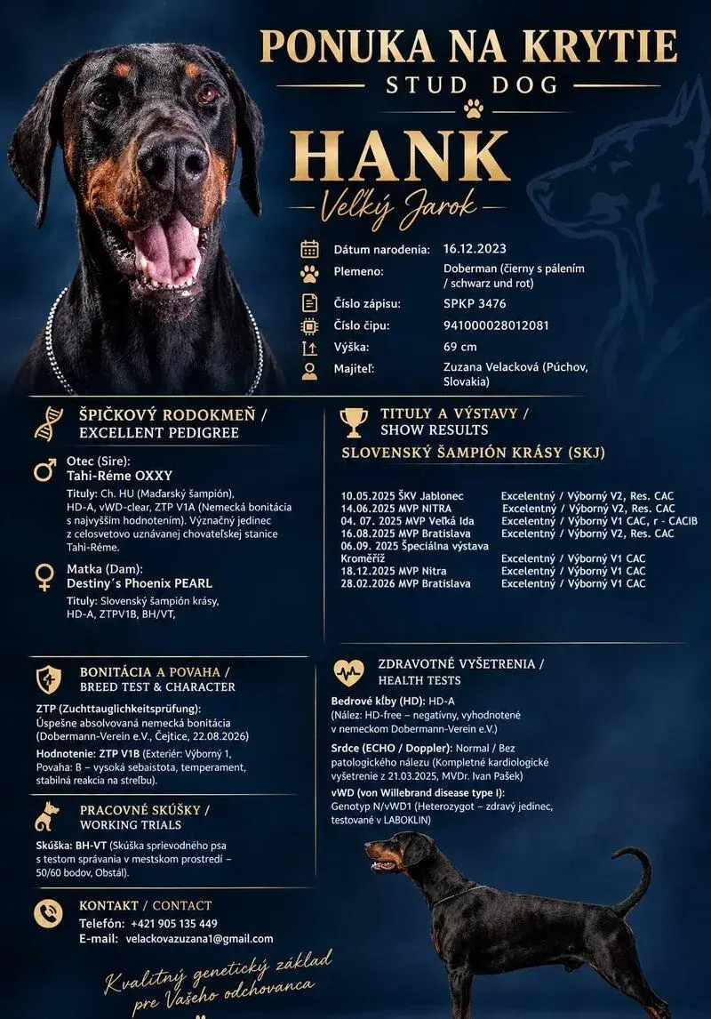Doberman na krytie s PP/FCI-Nemecké ZTP V1B, Šampión SK