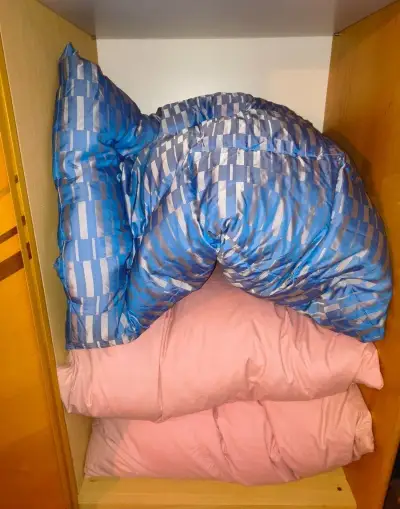 Domáce husacie páperie na presypanie (cca 8kg) – paplón a 2x