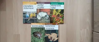 Papagáje, korytnačky, teráriové zvieratá
