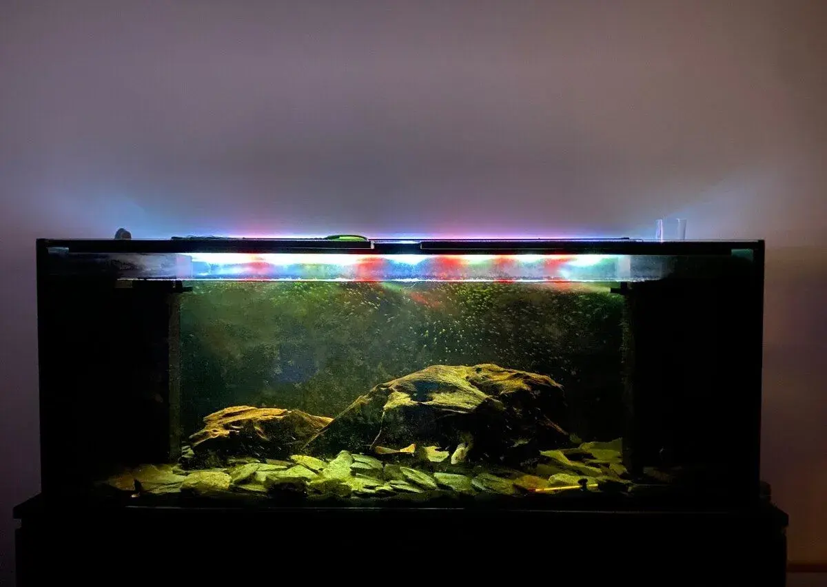 Akvarium+ryby