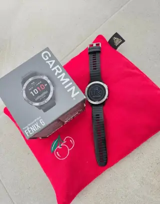 Garnin Fenix 6