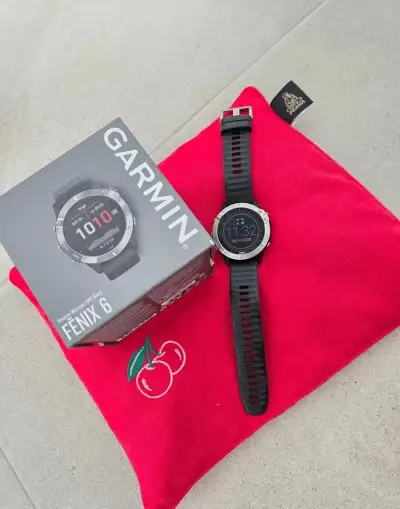 Garnin Fenix 6