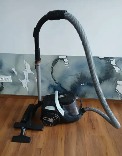 Rowenta RO7C32EA