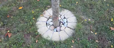 Obrubníky pre stromy