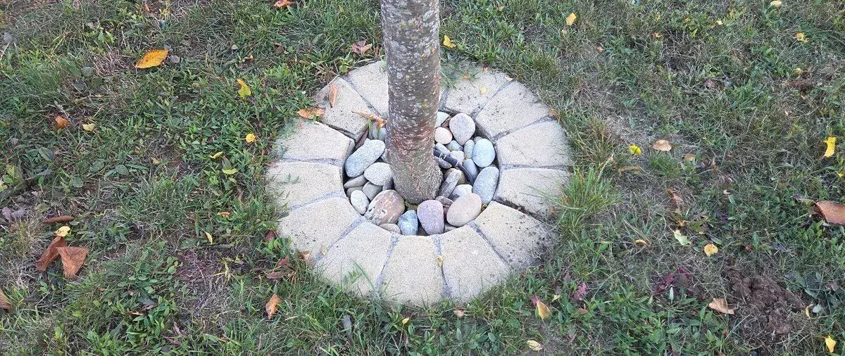 Obrubníky pre stromy