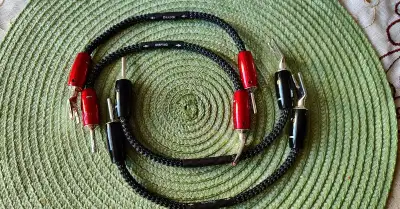 Jumpre Audioquest Dragon 4x25cm