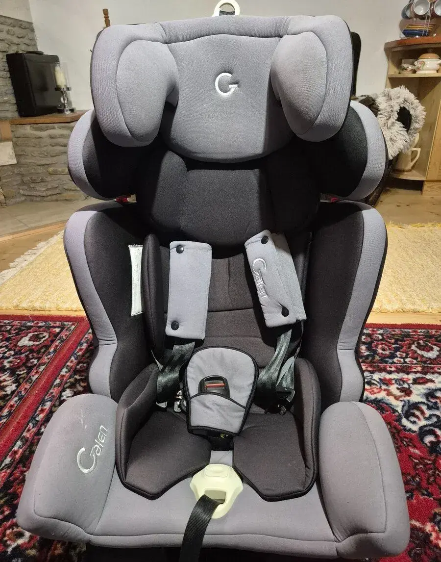 Autosedacka