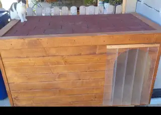 Búda pre psa zateplená