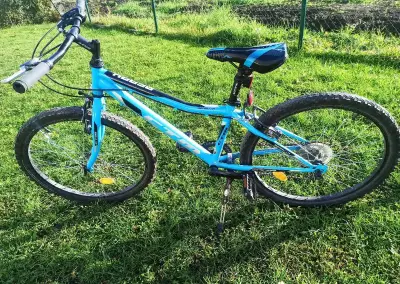 Detský bicykel CTM Berry 1.0