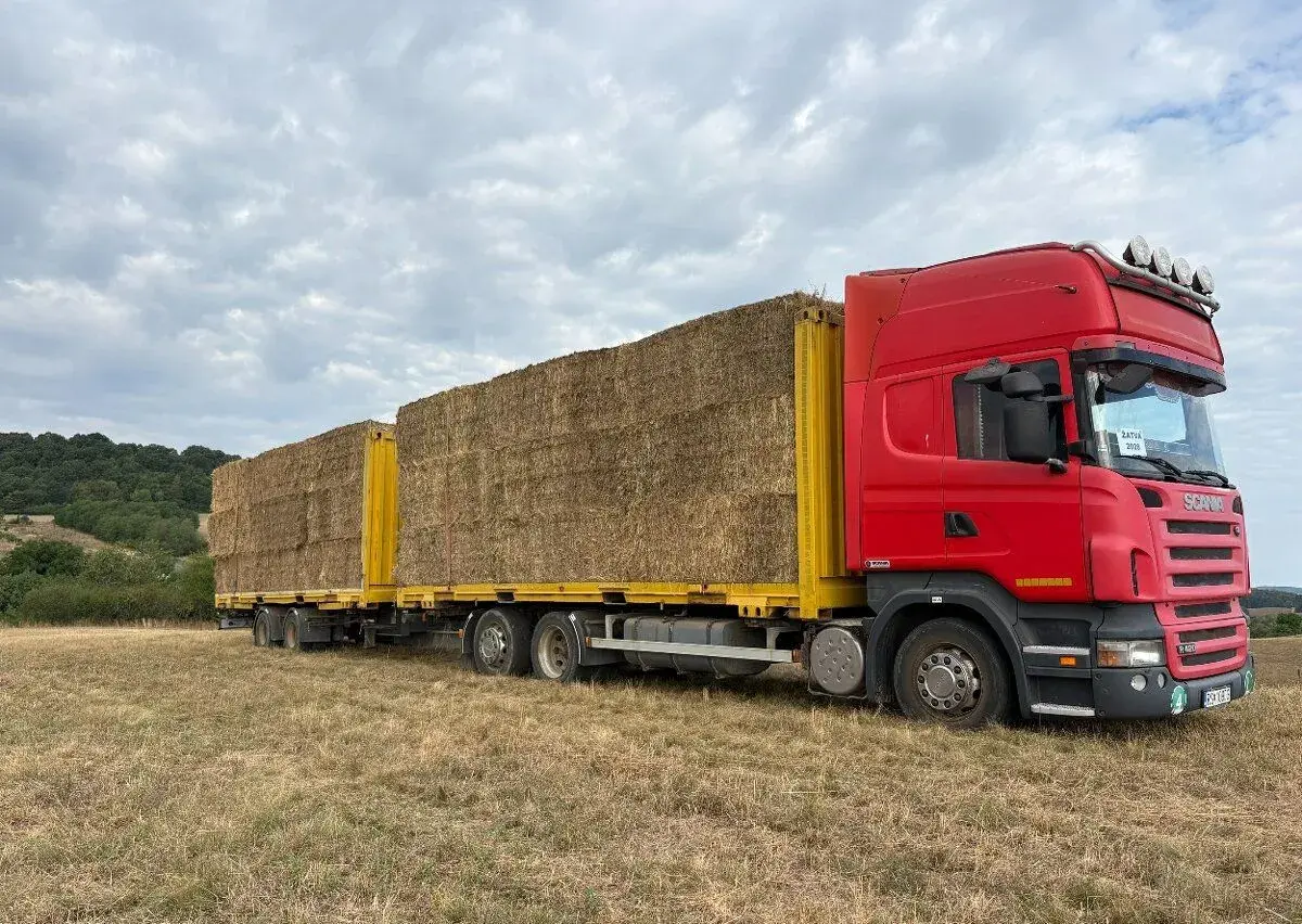 Seno, lucerna, granule zo sena, granule z lucerny