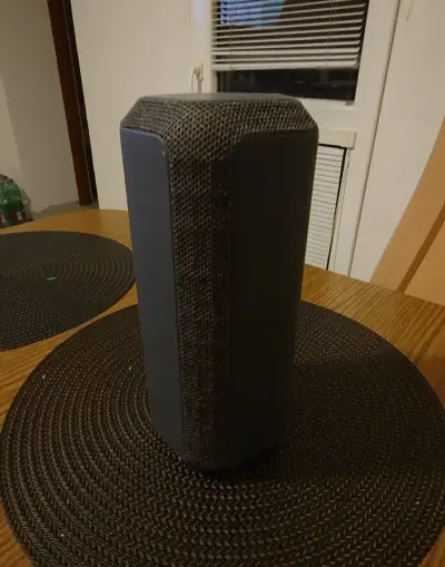 Sony SRS- XE300