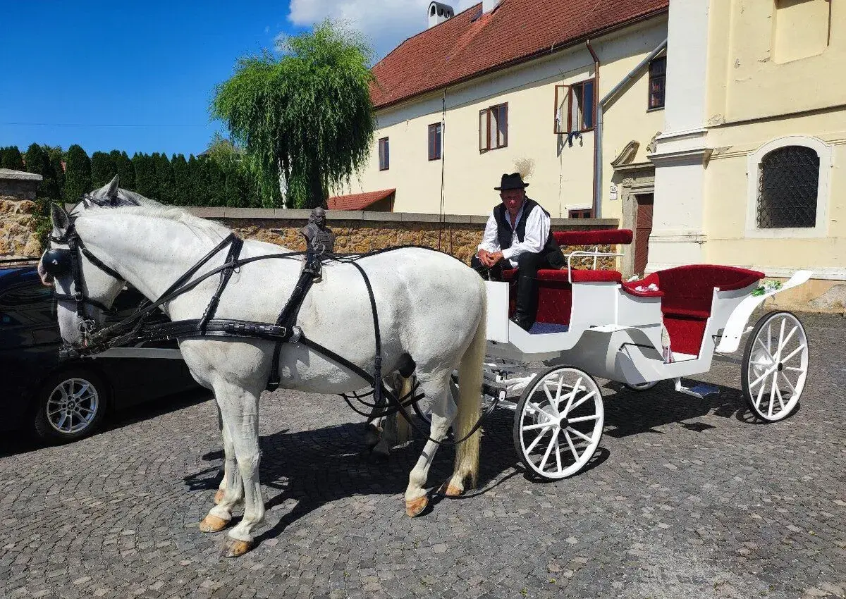 Kočiar s koňmi