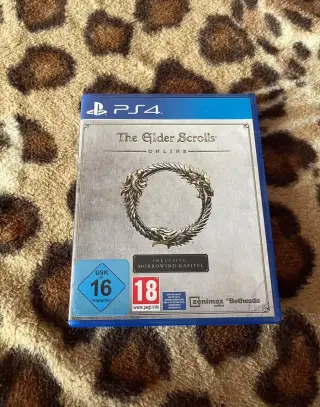 Playstation4 the hoden scrolls