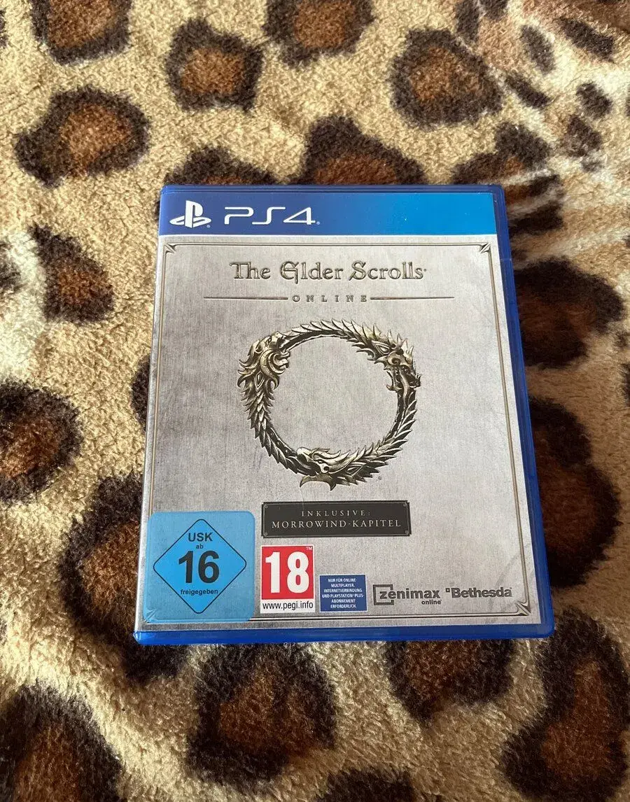 Playstation4 the hoden scrolls