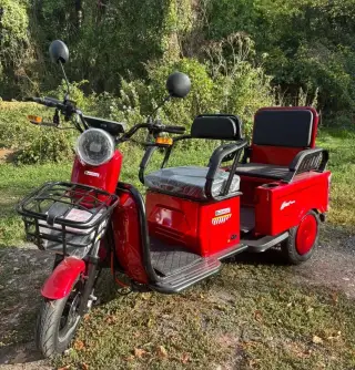 Elektrická Trojkolka A10 CARGO