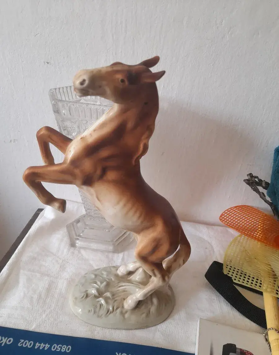 Porcelánový konik