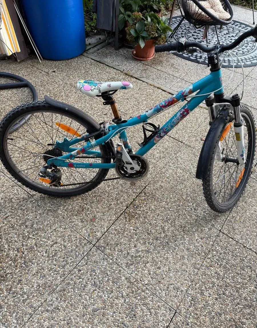Detsky bicykel veľkosť kolies 24