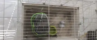Klietka pre morča alebo králika + príslušenstvo