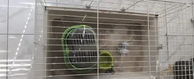 Klietka pre morča alebo králika + príslušenstvo
