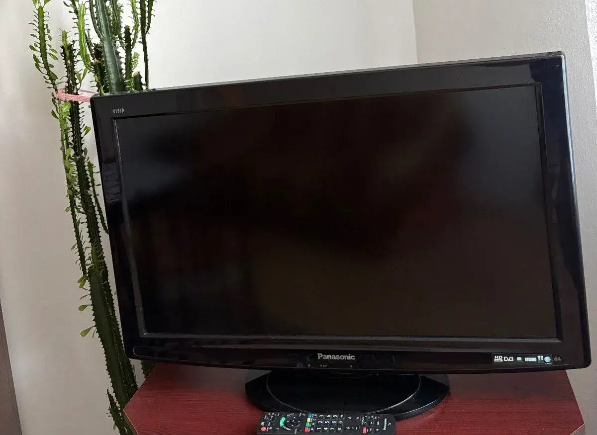 Televízor Panasonic