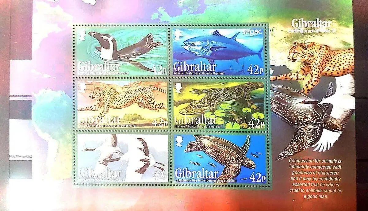 Fauna svet