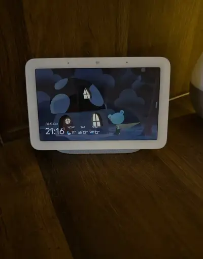 Google nest hub
