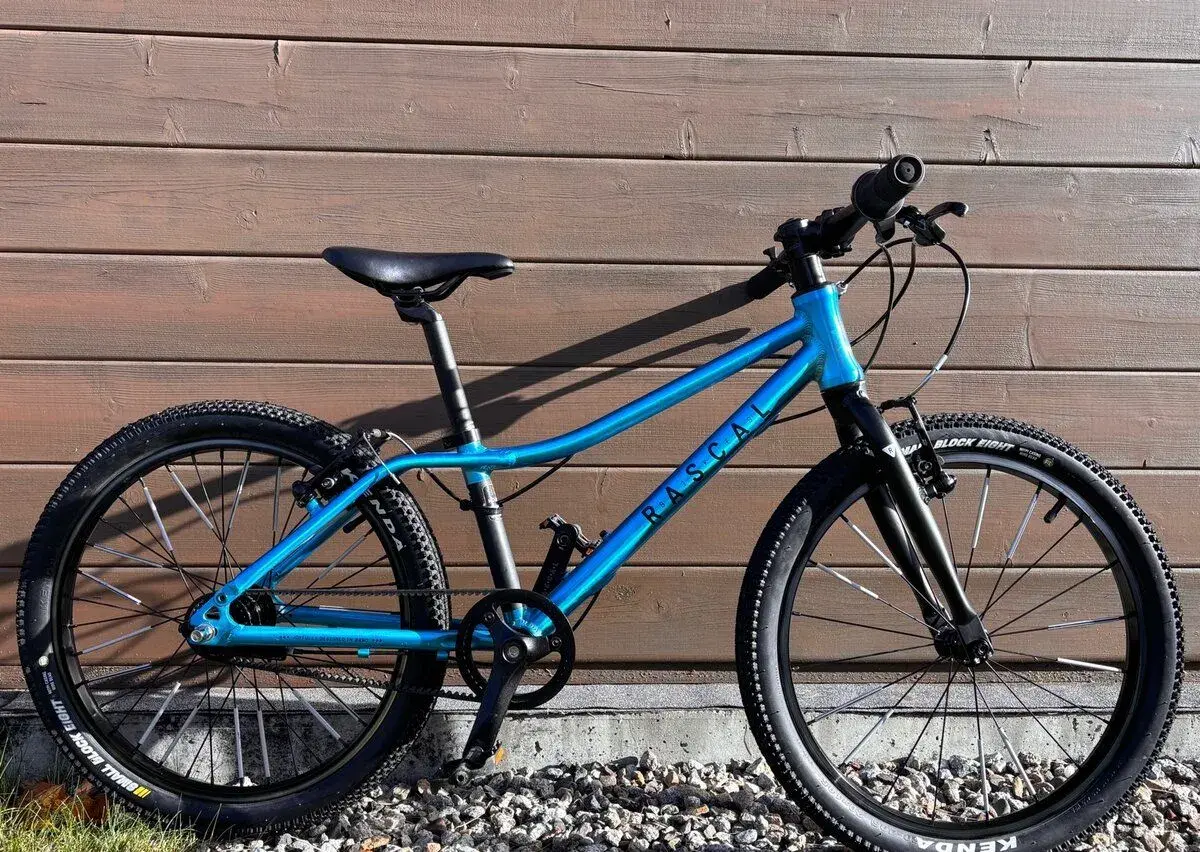 Detsky bicykel Rascal 20 Aquamarin