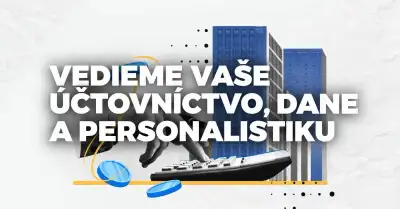 Profesionálne vedenie účtovníctva