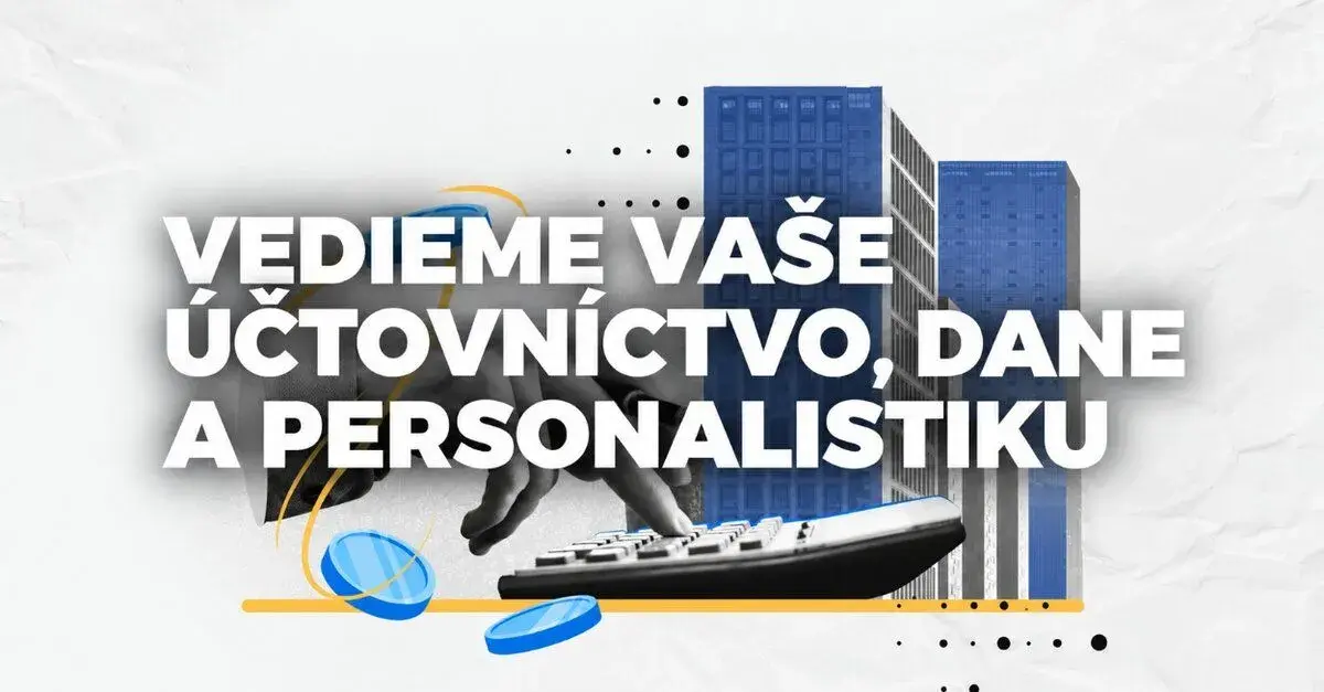 Profesionálne vedenie účtovníctva