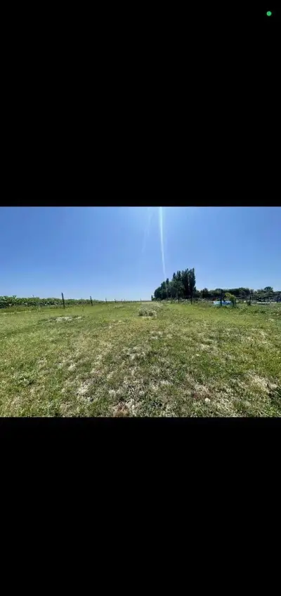 Výcvik a ustajnenie koní