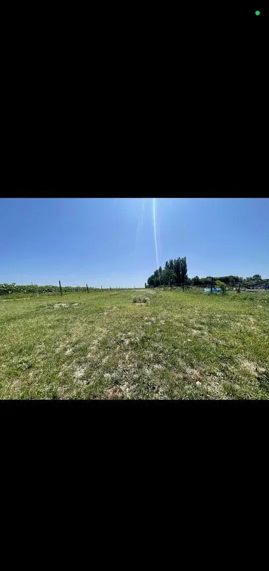 Výcvik a ustajnenie koní