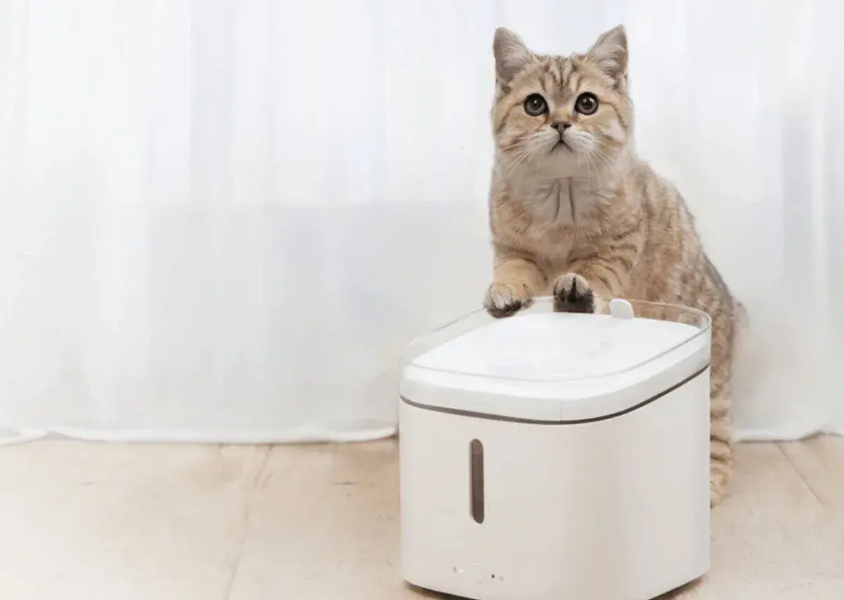 Xiaomi Smart Pet Fountain, inteligentná fontána na pitie
