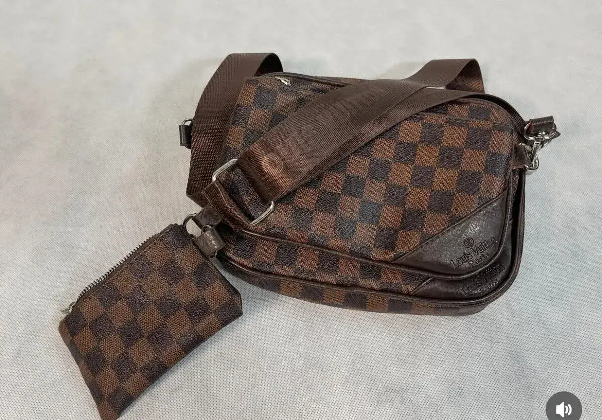 Louis Vuitton LV Bag