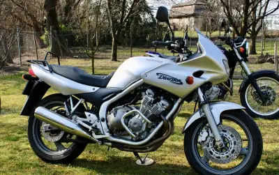Yamaha XJ 600 S Diversion