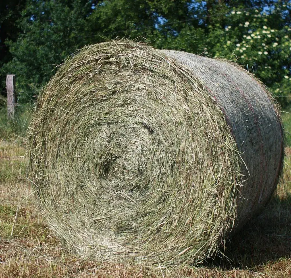 Seno 2-3 okrúhle balíky