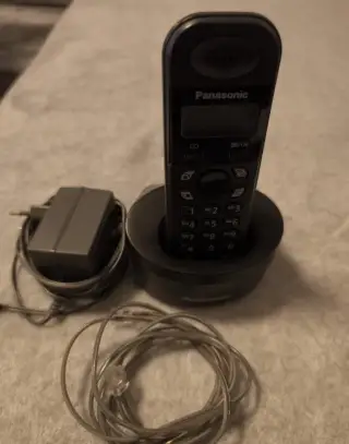 Panasonic