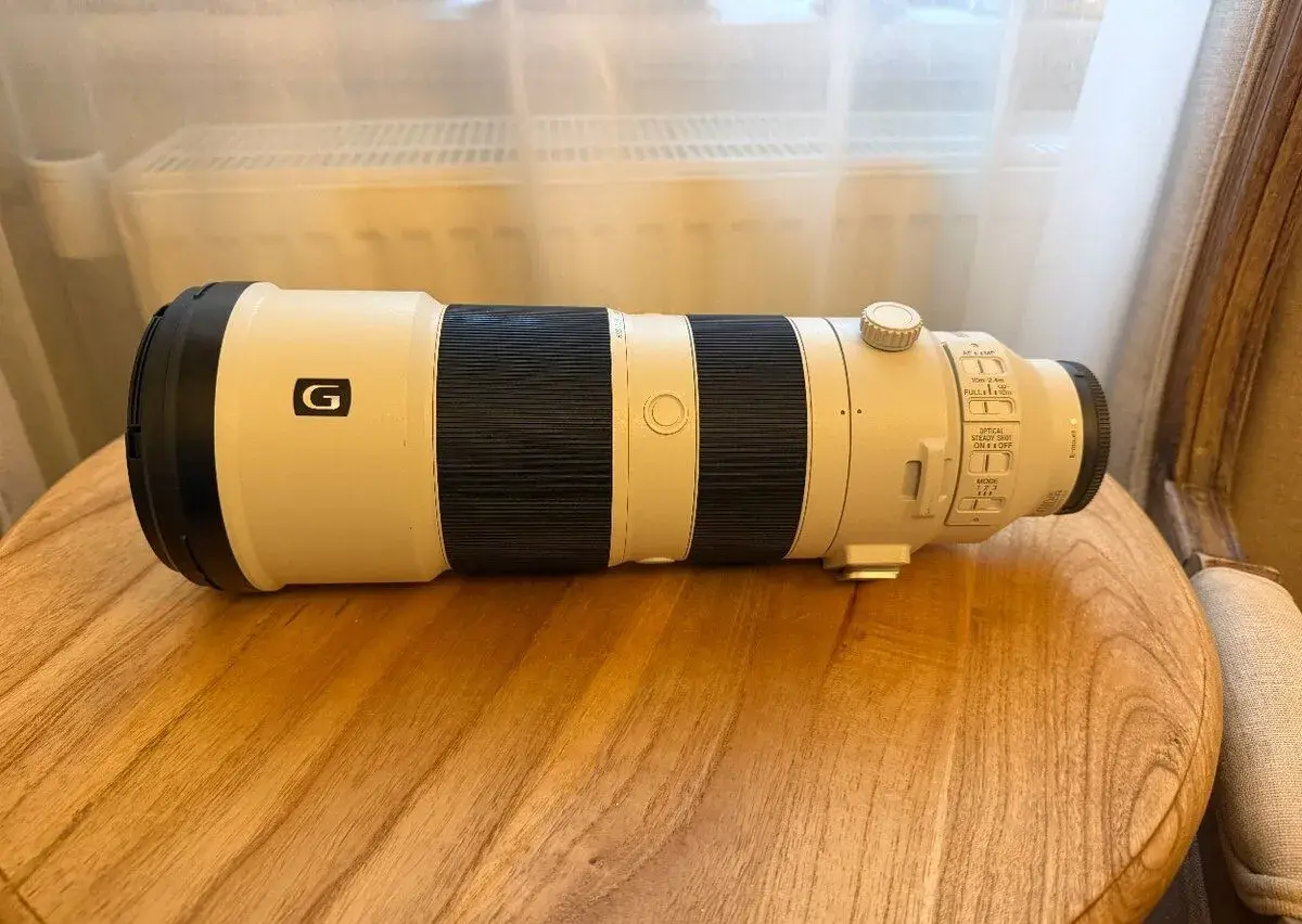 Sony FE 200–600 mm f/5,6–6,3 G OSS