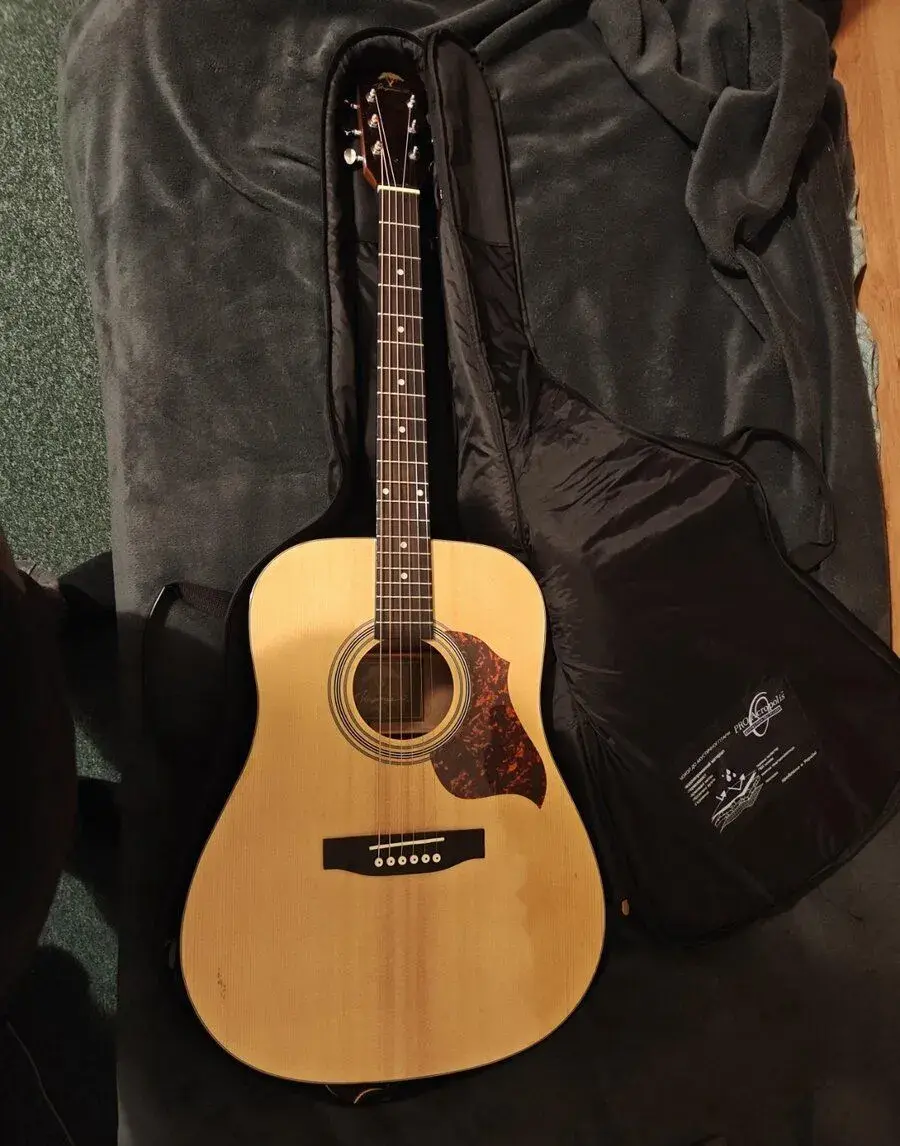 Gitara Virginia VD100