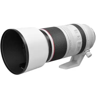 Canon RF 100-500mm f/4.5-7.1L IS USM
