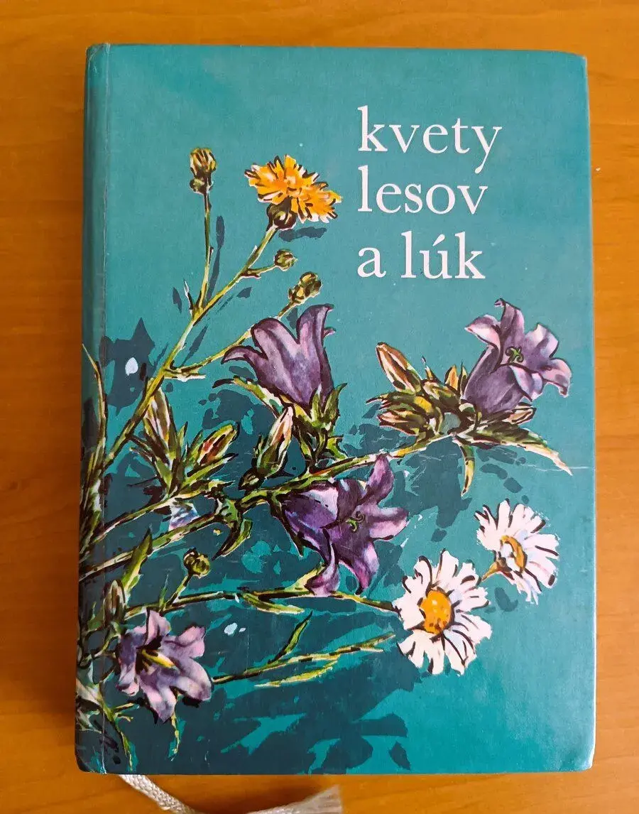 Kvety lesov a lúk (1973)
