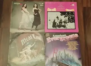 Lp platne,Rock,Pop,rozné žánre,klasická hudba