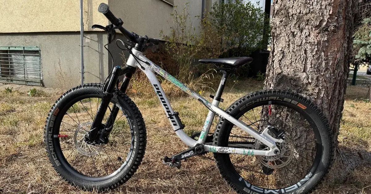Trailovy Propain Dreckspatz 3 20”