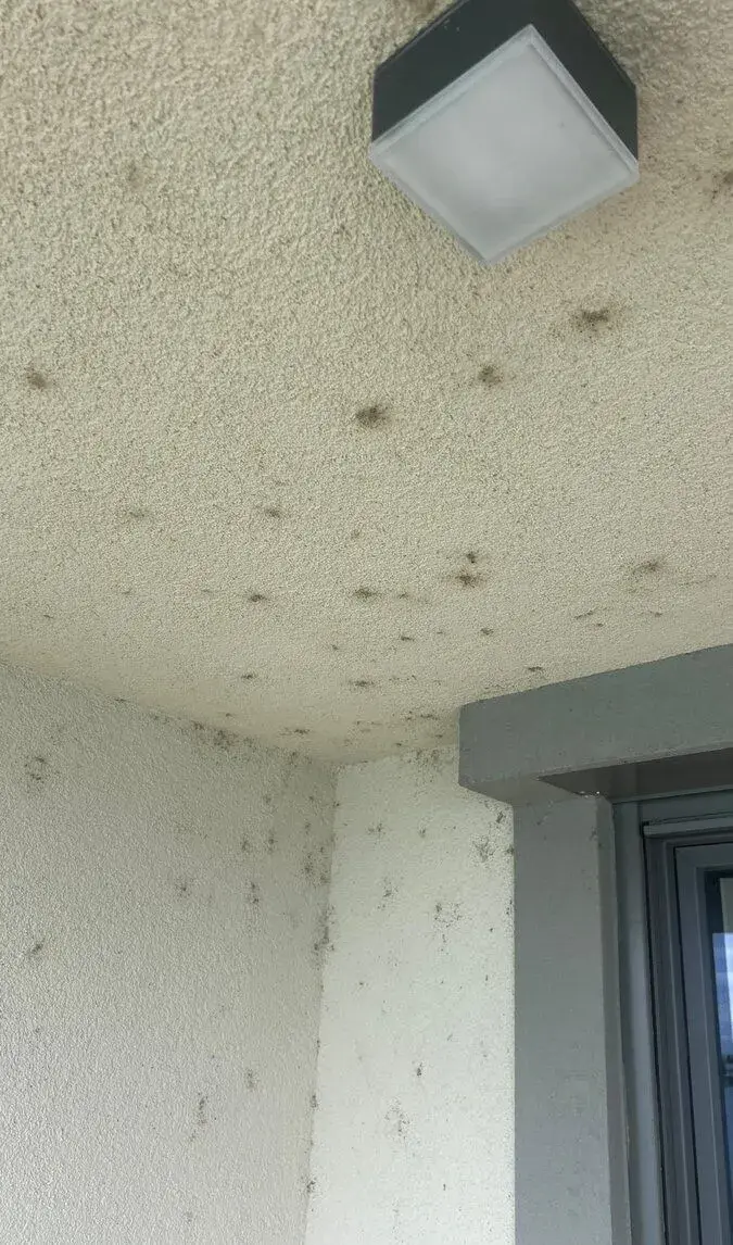 Čistenie fasád, zámkovej dlažby, terás a firemných objektov